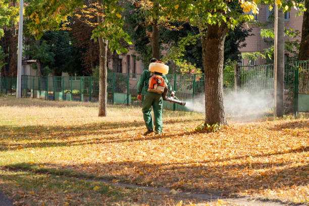 Best Rodent Control Near Me  in Crenshaw, MS