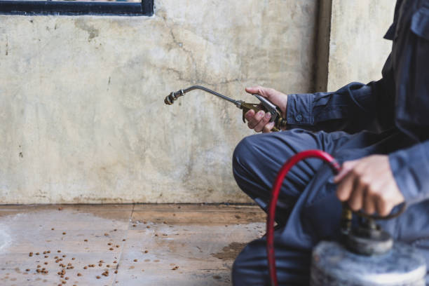 Best Pest Prevention Services  in Crenshaw, MS