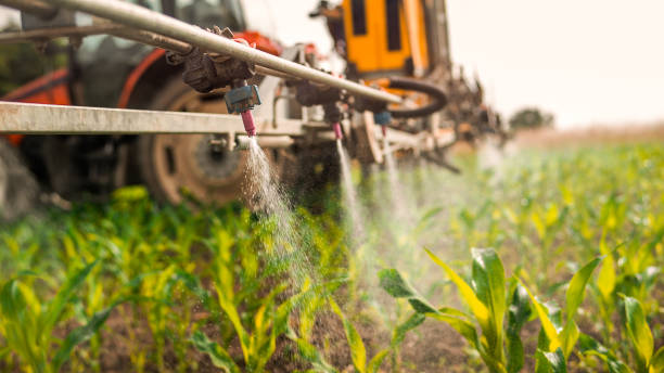 Best Mosquito Control Services  in Crenshaw, MS