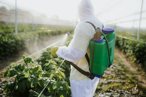 Best Bed Bug Extermination  in Crenshaw, MS